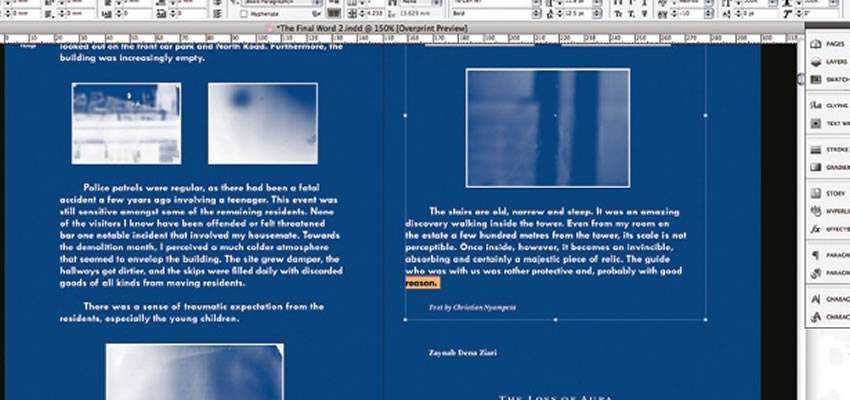 Design Distinctive Monotone Layouts in Adobe InDesign