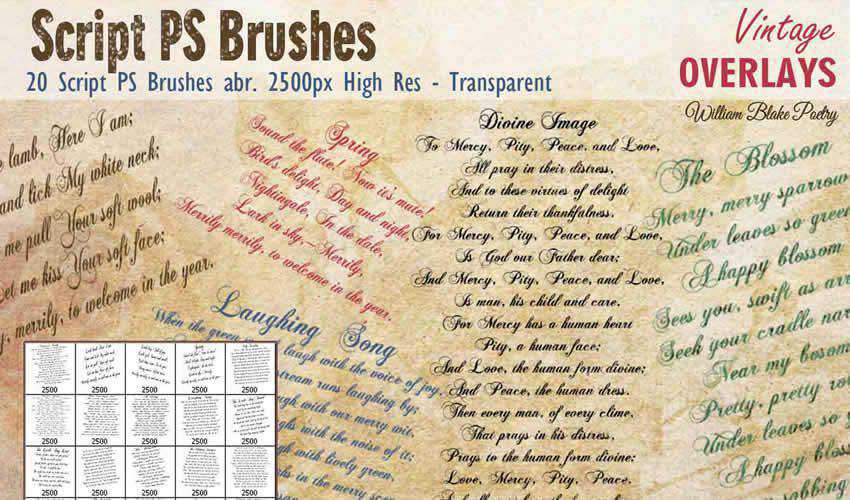 Script vintage antique adobe photoshop ps brush brushes abr pack set free