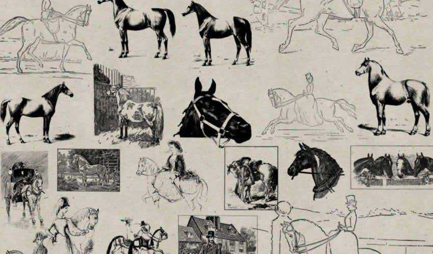 Vintage Horses antique adobe photoshop ps brush brushes abr pack set free