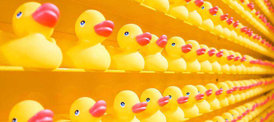 Shelves with rubber ducks.