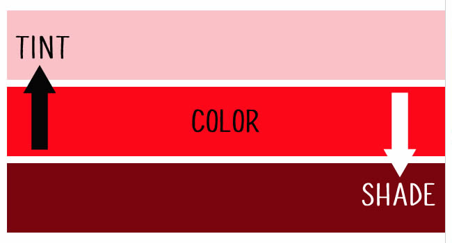 Color Theory in Design