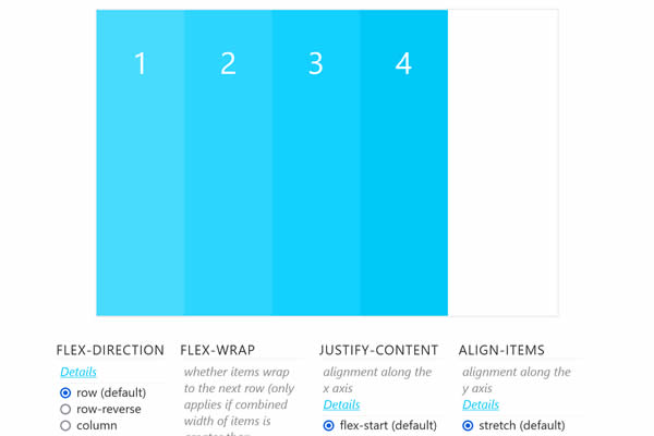 Test CSS Flexbox Rules