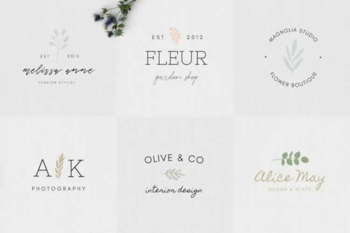 10+ Best Free Feminine Logo Template Collections for Designers