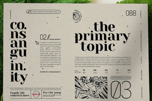 30 Beautiful Flyers for Design Inspiration in 2025