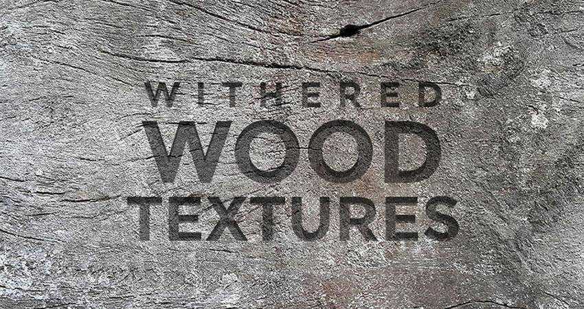 Withered Wood free high-res textures