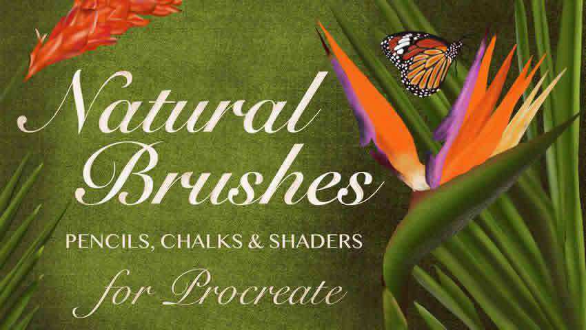 Natural Brushes for Procreate