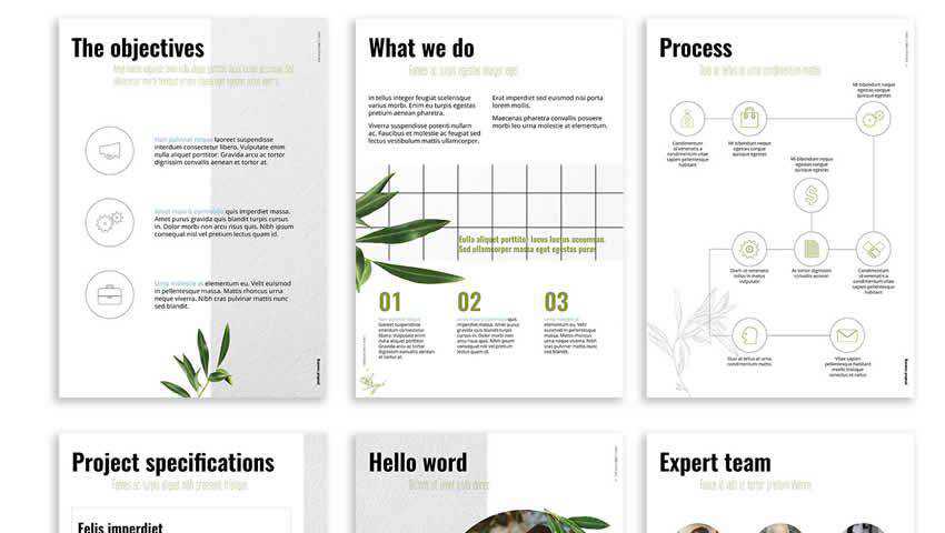 Olive Free Presentation IndDesign Template