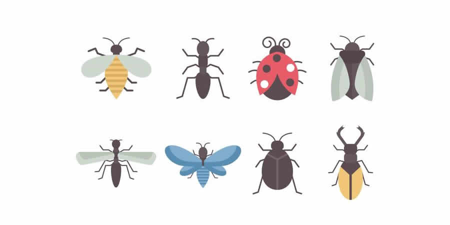 Flat Insects Vector Collection spring pastel vector template