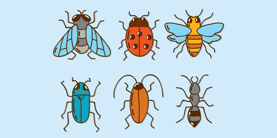 Hand-Drawn Insect Vector Collection spring pastel vector template