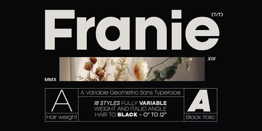 Franie Geometric Sans Font Free Font Designers Creatives