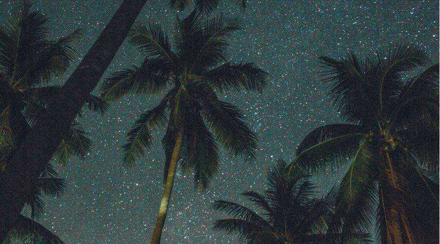 Palm Trees Stars desktop wallpaper hd 4k high-resolution