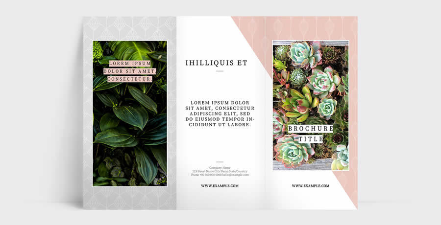 Trifold Patterned Brochure Layout for InDesign