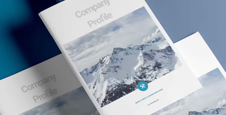 Blue Business Brochure Layout