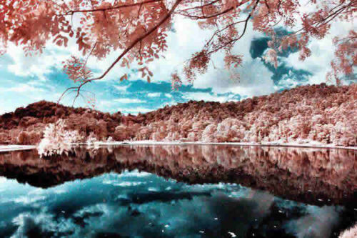 25 Beautiful Examples of Infrared Photography