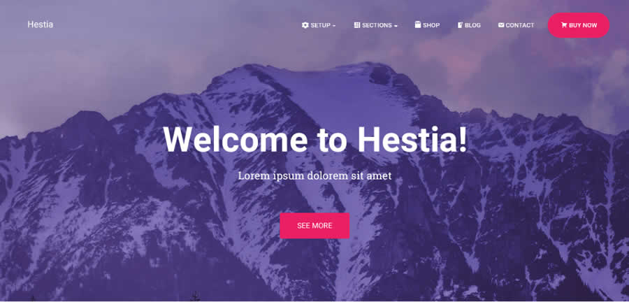 Hestia Material-Inspired WordPress Theme