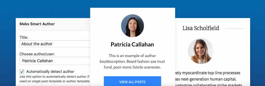 Multi Author WordPress Plugin Meks Smart Author Widget