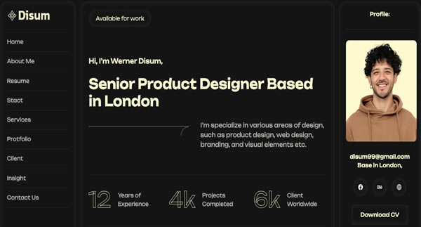 Disum HTML Template Personal Portfolio Website Inspiration 2024