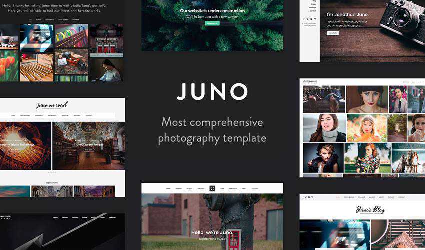 Juno Photography Template photographer portfolio camera website web design inspiration ui ux