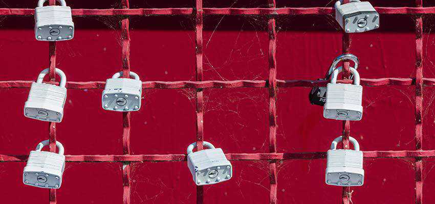 Padlocks on a fence.