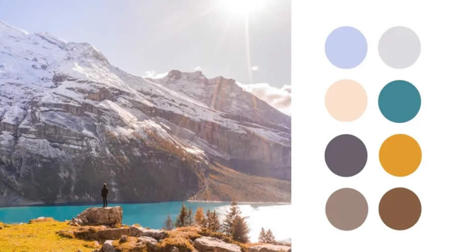 Gorgeous Procreate Color Palettes Free