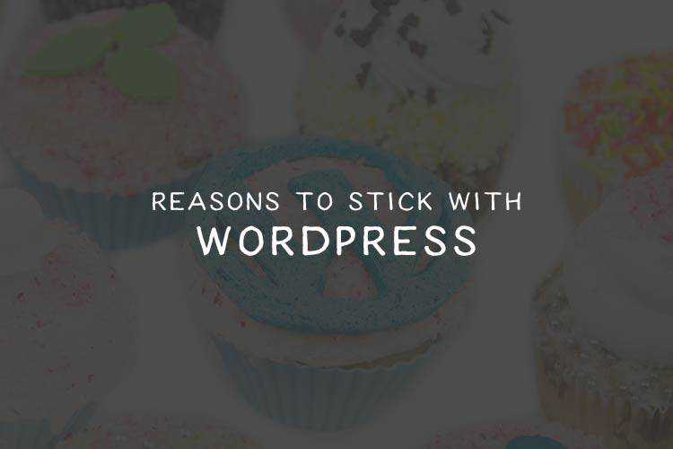 Reasons to Stick with WordPress