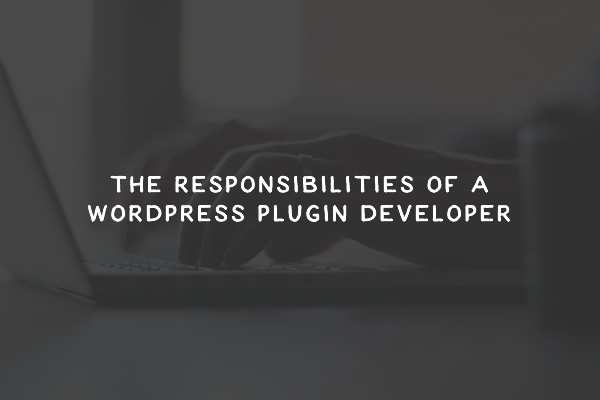 The Responsibilities of a WordPress Plugin Developer