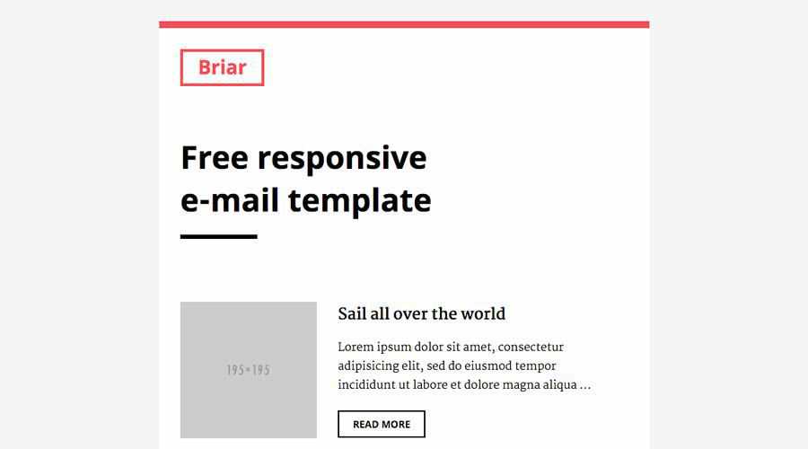 Briar free responsive newsletter template email