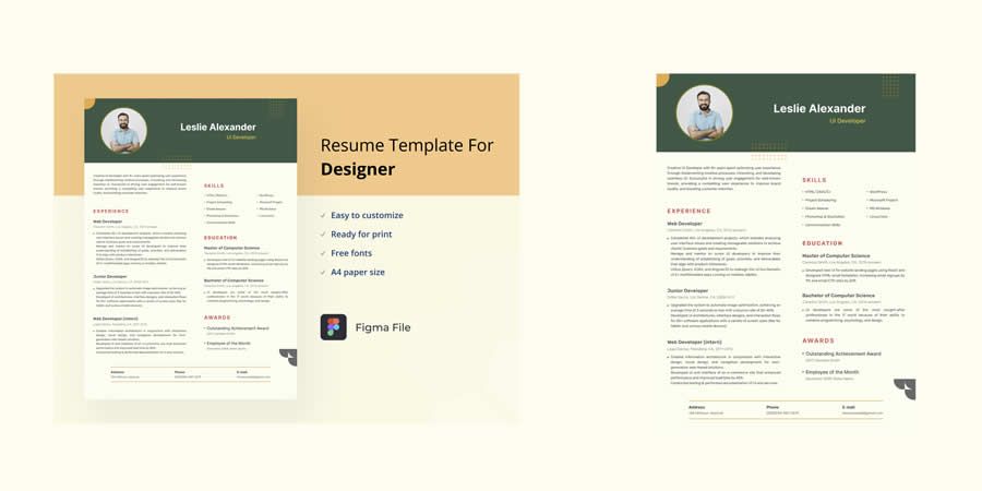 UI & Developer Resume CV Template Job Application Figma Design