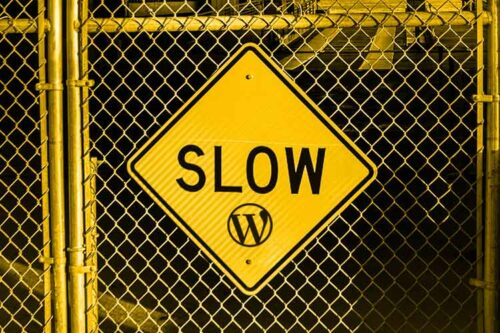 Common Causes of a Slow-Loading WordPress Site and How to Fix Them