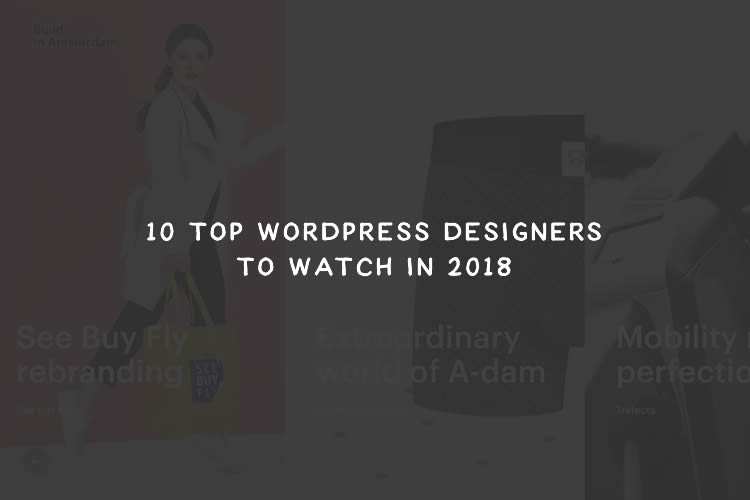 10 Top WordPress Designers to Watch in 2018