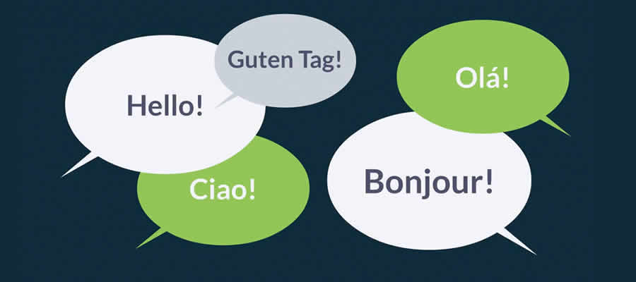 MultilingualPress WordPress Translation and Multilingual Plugin