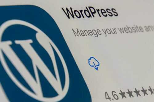 Scenarios Where WordPress May Not Be the Best Option