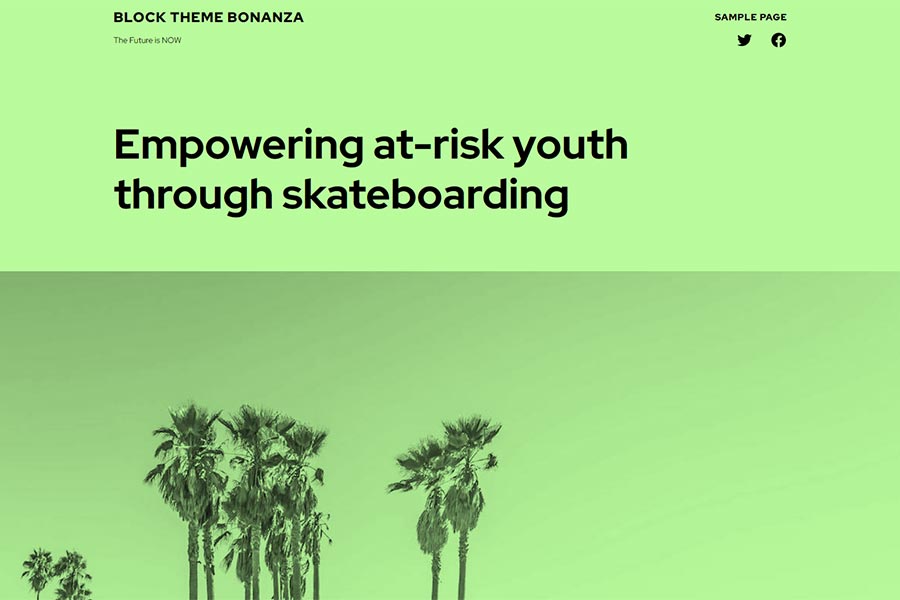 Skatepark WordPress Theme Preview